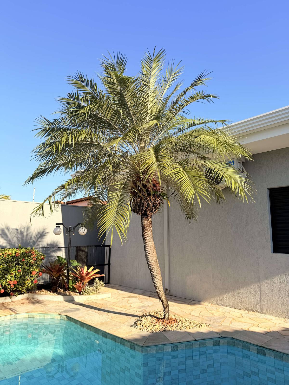 Casa à venda com 3 quartos - City Ribeirão,